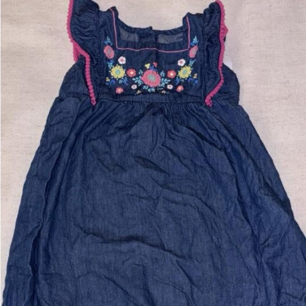 Girls' Blue and Pink Embroidered Dress